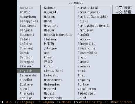 Figure The first screen you see after the Live DVD boots